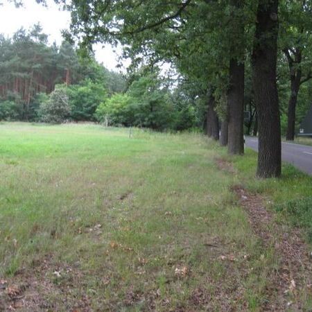 Radweg Motzen - Töpchin - Altbestand