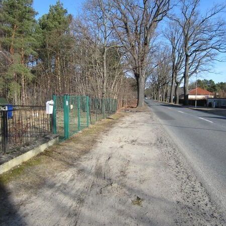 Radweg Motzen - Töpchin - Altbestand