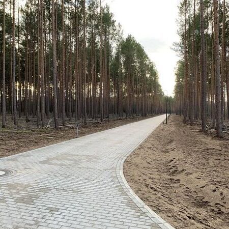 B-Plan Olof-Palme-Ring Borkwalde - Fertigstellung Privatstraße 2.BA