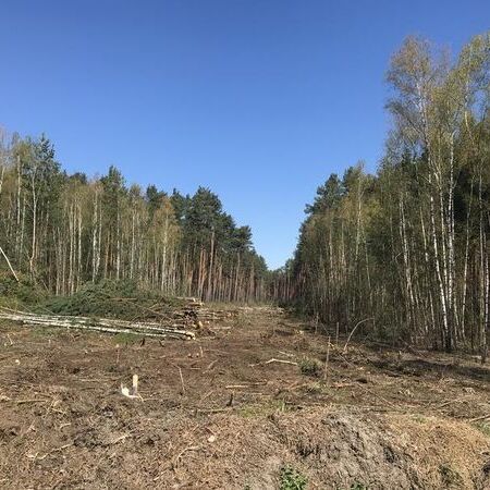 B-Plan Olof-Palme-Ring Borkwalde - Altbestand 2.BA