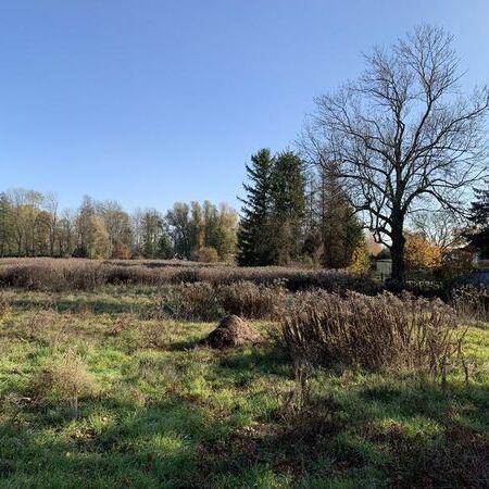 B-Plan Machnower Chaussee - Altbestand