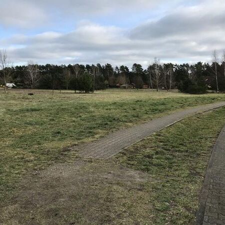 B-Plan Skabyer Torfgraben - Altbestand