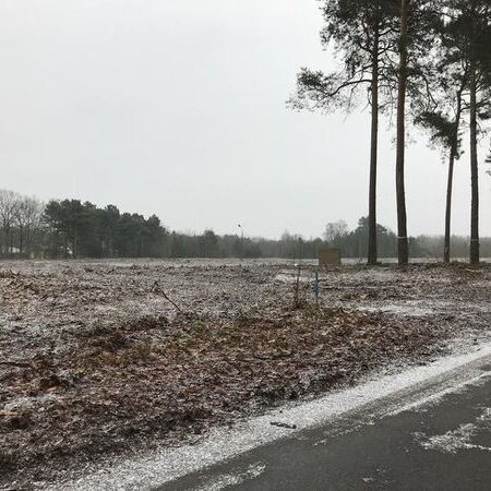 Erschließung B-Plan Eichenhain - Altbestand