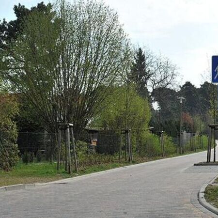 Erschließung Hochlandweg in Zeuthen